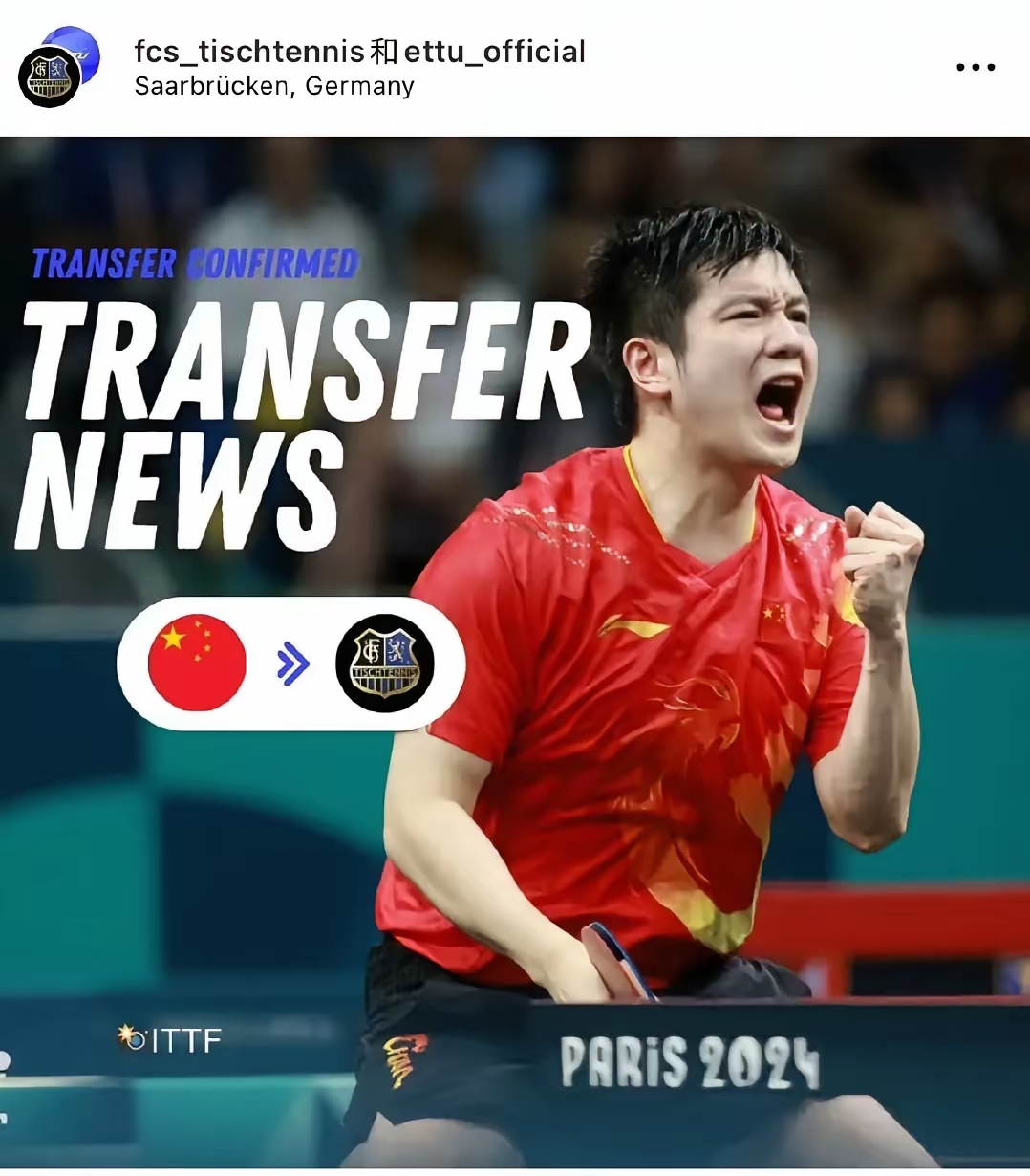 日本乒乓球队爆冷德国乒乓球队，樊振东送出助攻的简单介绍