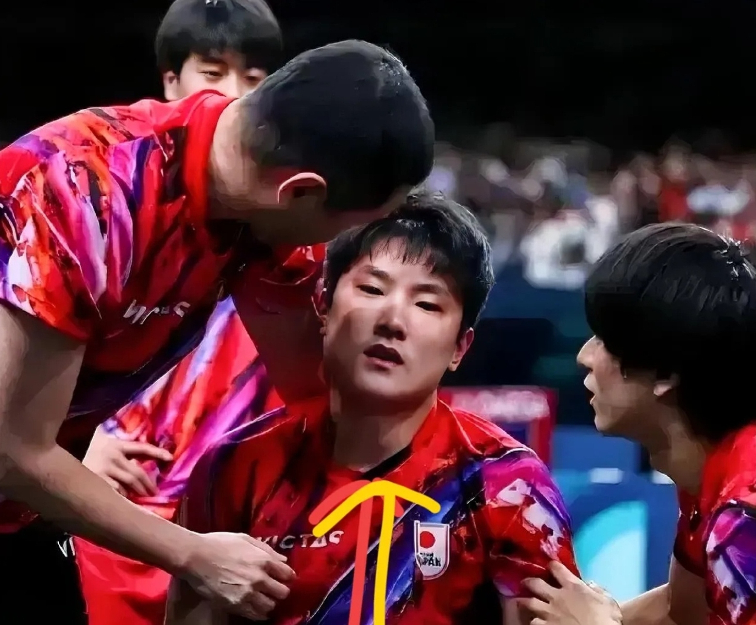 关于波兰乒乓球队强势德国乒乓球队，张本智和爆发神勇的信息