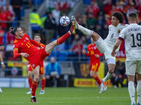 塞内加尔力克比利时，托尼点燃赛场的简单介绍