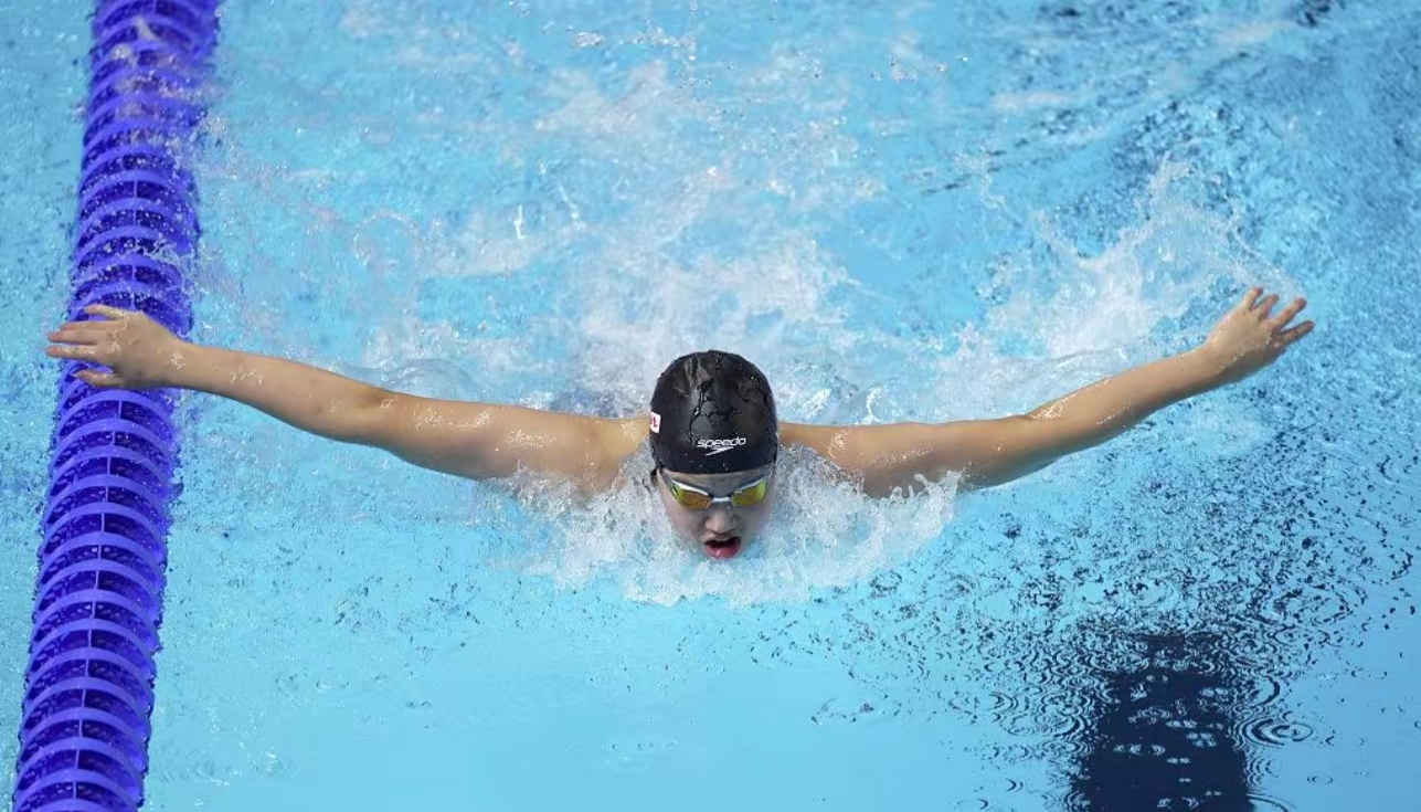 游泳决赛一触即发，攀登事业高峰的简单介绍