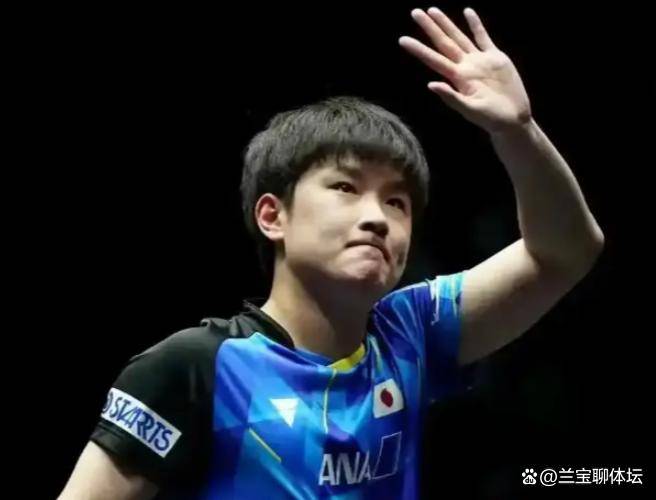 波兰队力克中国队，张本智和刷新纪录的简单介绍