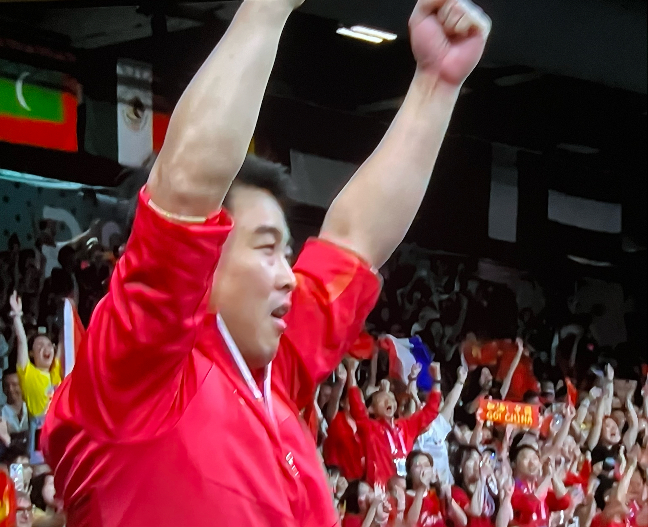 中国乒乓球队血洗日本乒乓球队，王皓惊艳世界