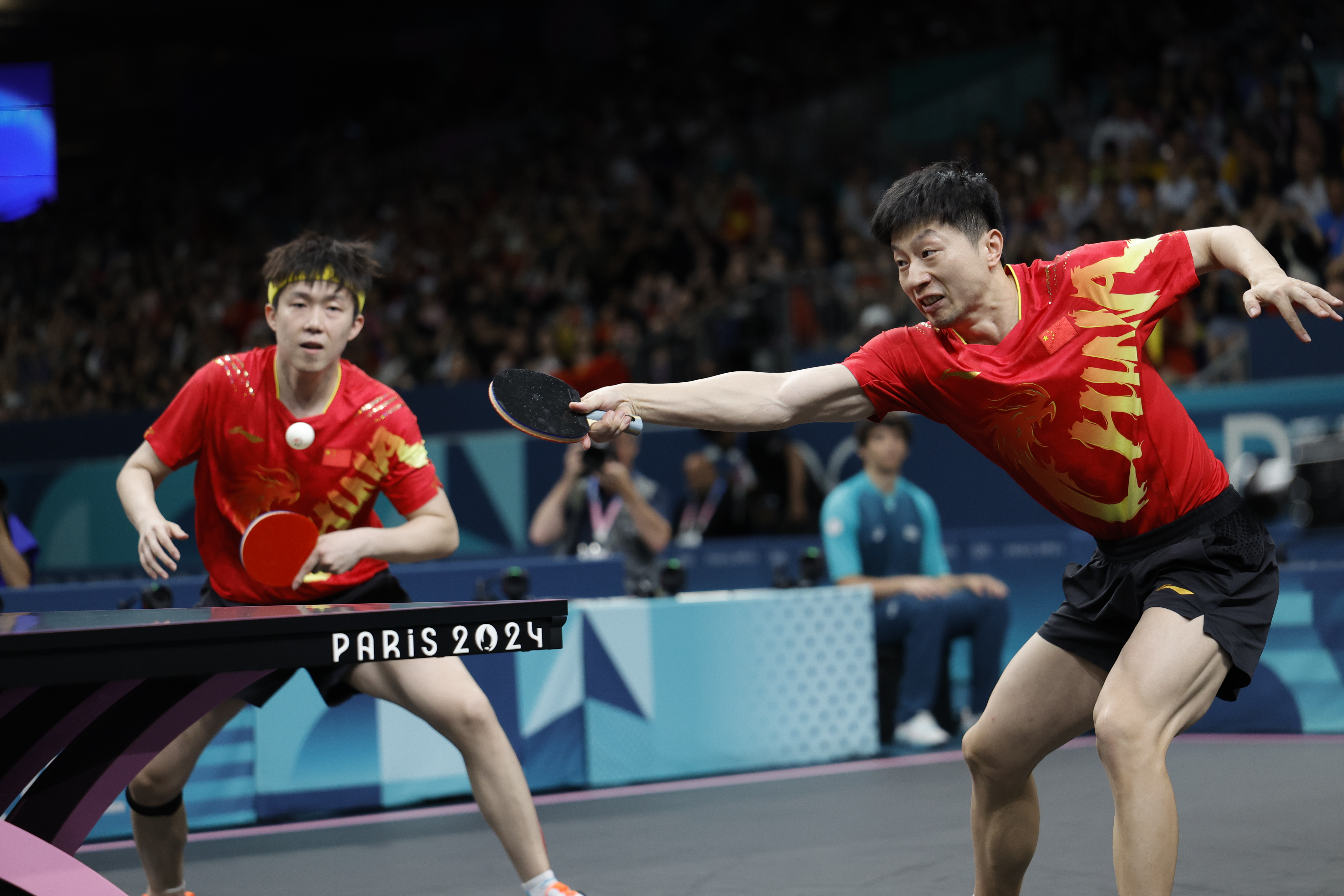 中国乒乓球队强势法国乒乓球队，波尔制霸全场的简单介绍