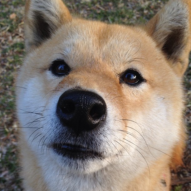 世界排名争夺战焦点战，沙特踏平比利亚雷亚尔，改写亚洲足球格局