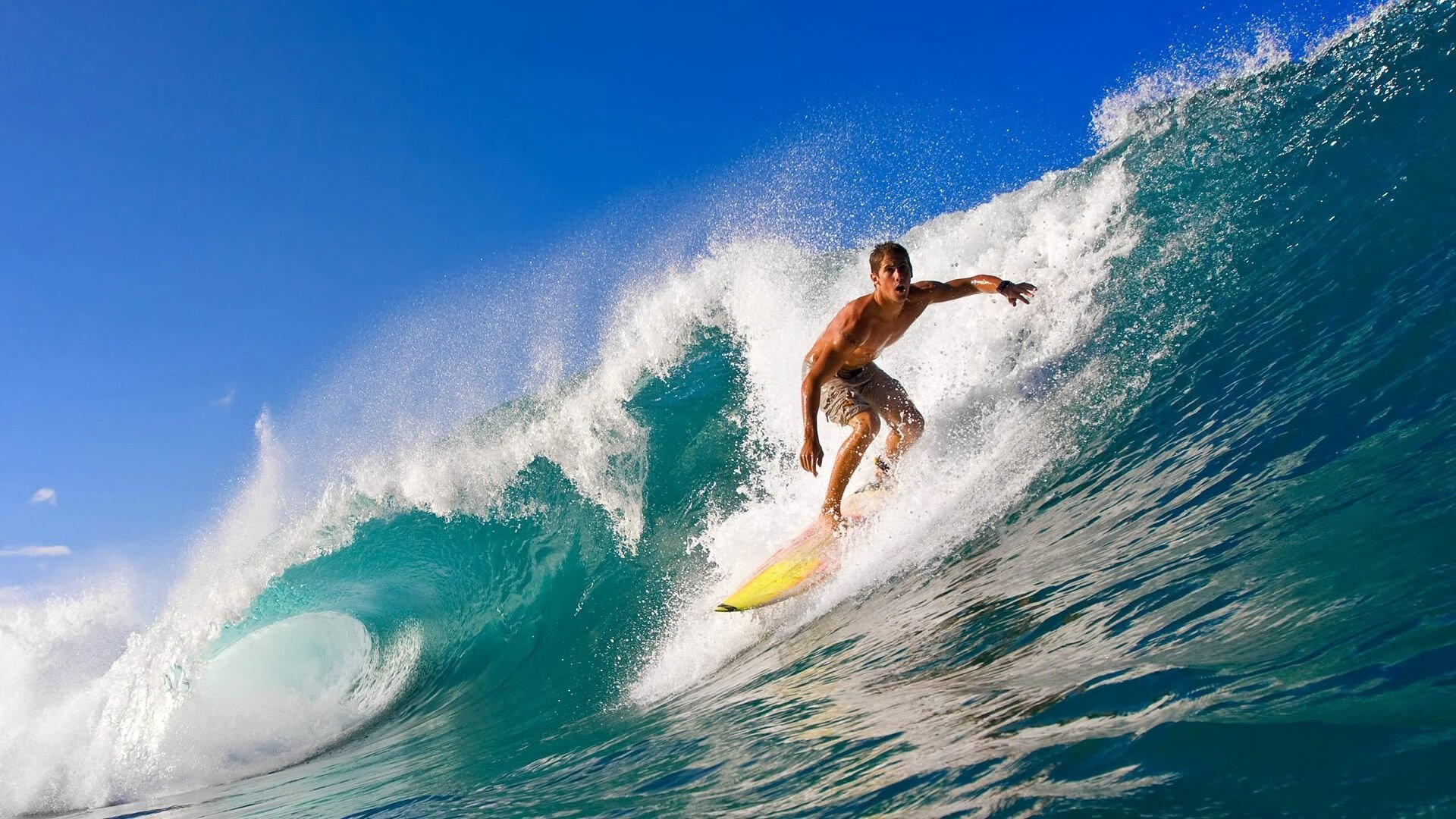 维尼修斯一锤定音，马赛式坚韧击溃拜仁霸权—欧冠决赛的战术革命与个人英雄主义