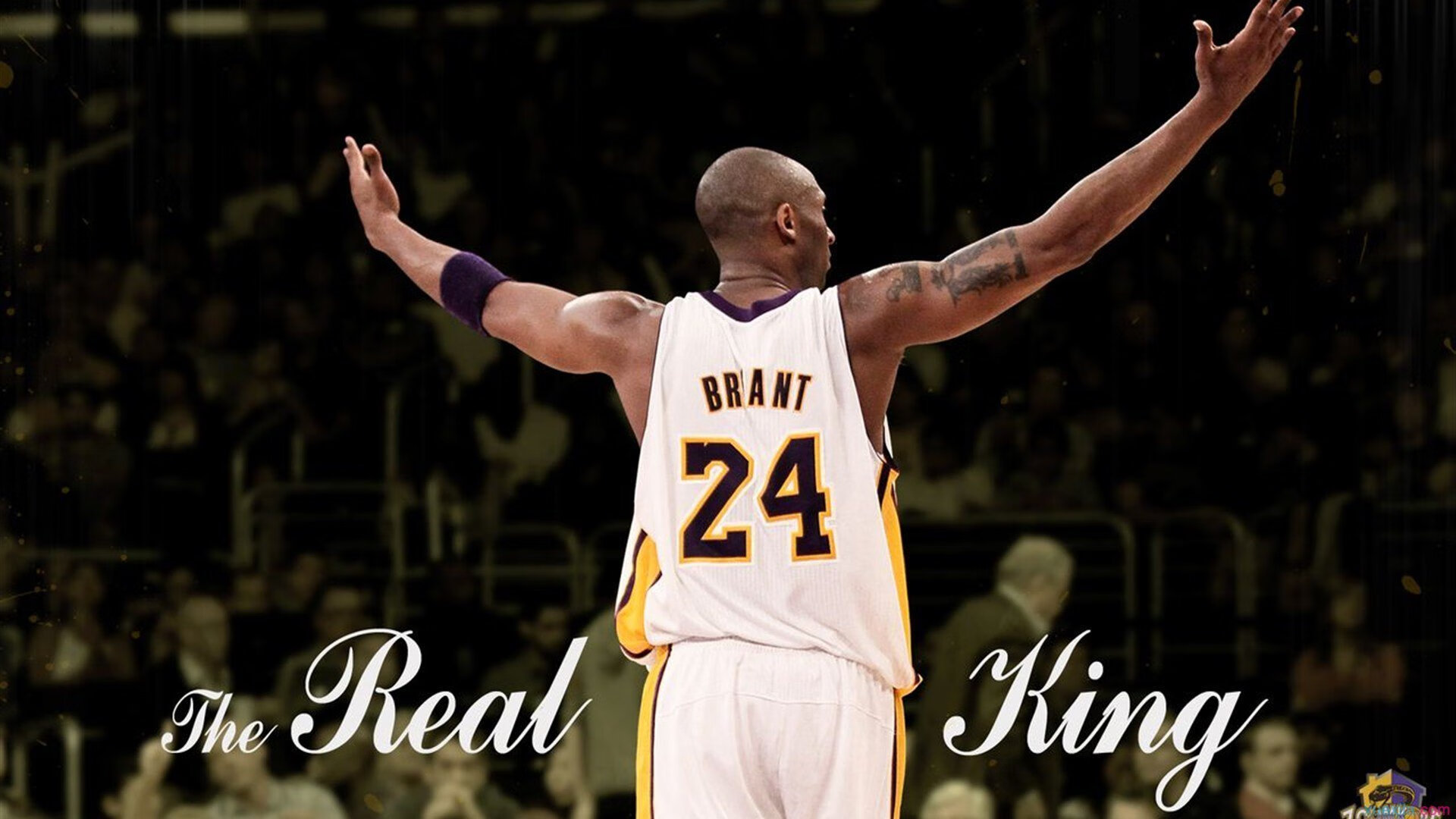 绿白风暴席卷高地，罗德里戈一剑封喉，贝蒂斯巅峰对决决胜苏格兰